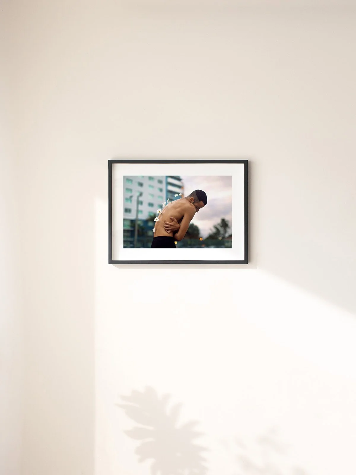 Lucid Afternoons | Discover Unique Artworks – Shop Now — James Miille